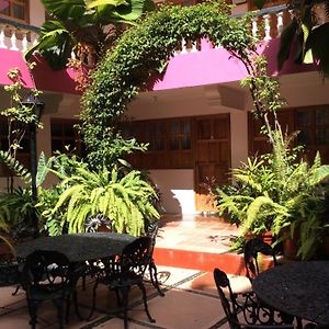 Hotel Michelle